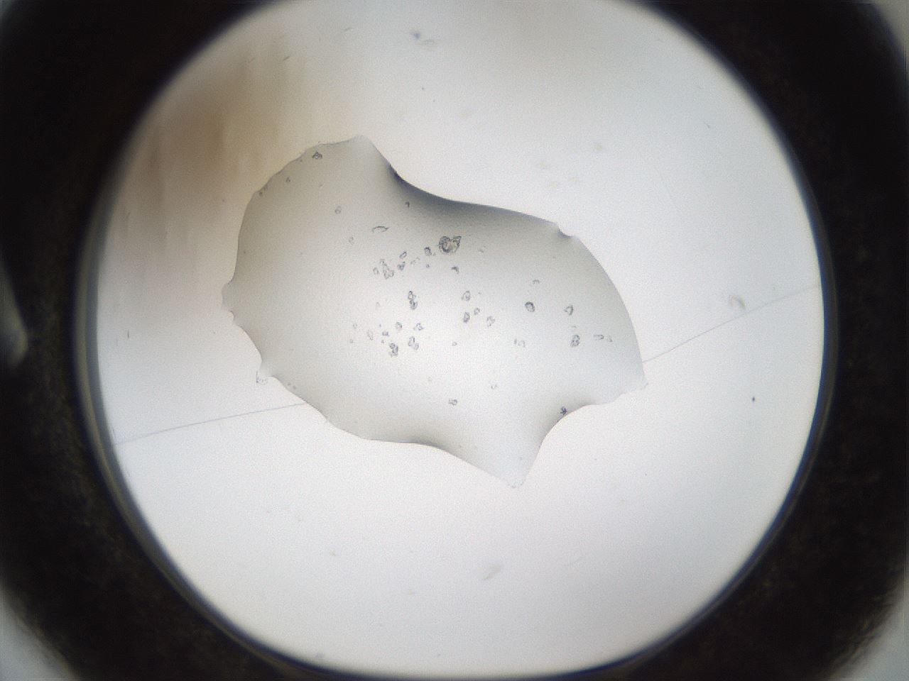 folderID963_plateID963_batchID1326_wellNum6_profileID1_d1_r37362_ef.jpg