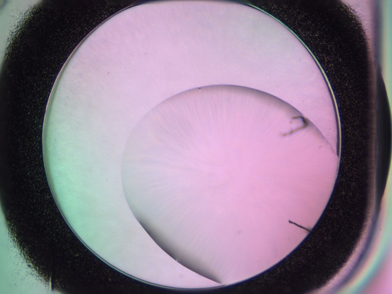 01dc_C8_ImagerDefaults_1.jpg