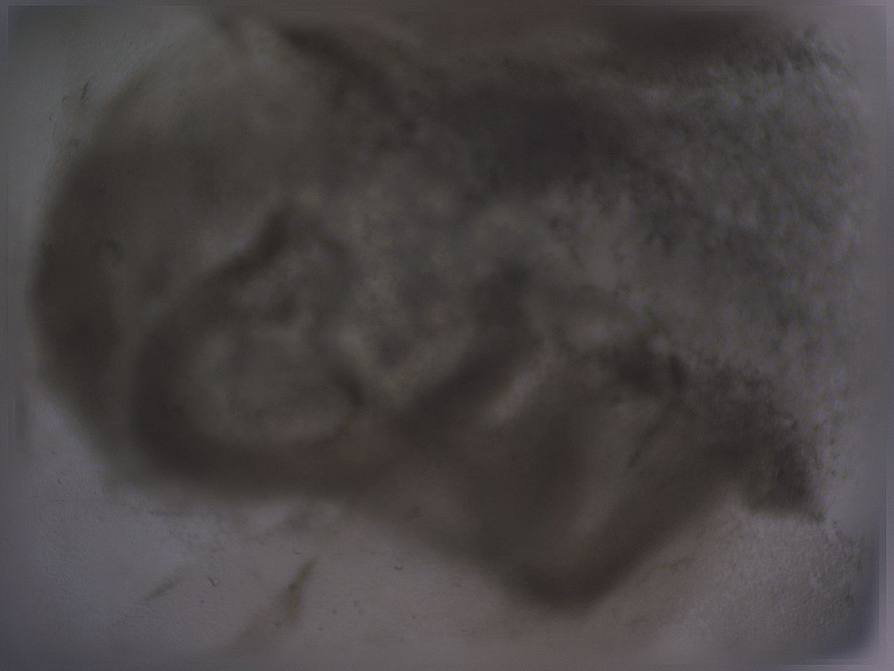 04ov_C10_ImagerDefaults_3.jpg