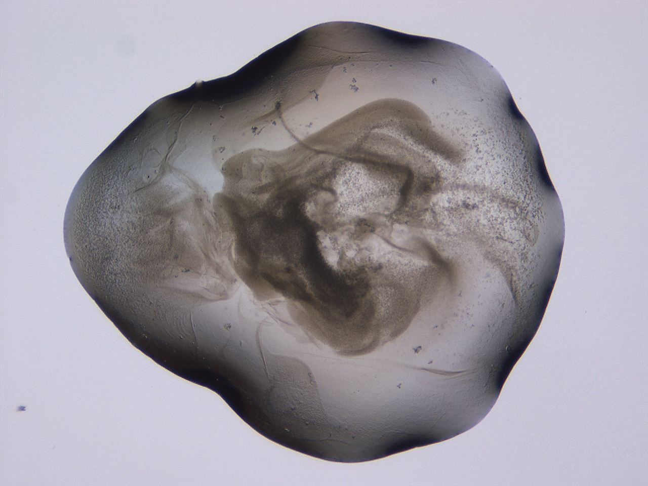 04ov_C11_ImagerDefaults_3.jpg