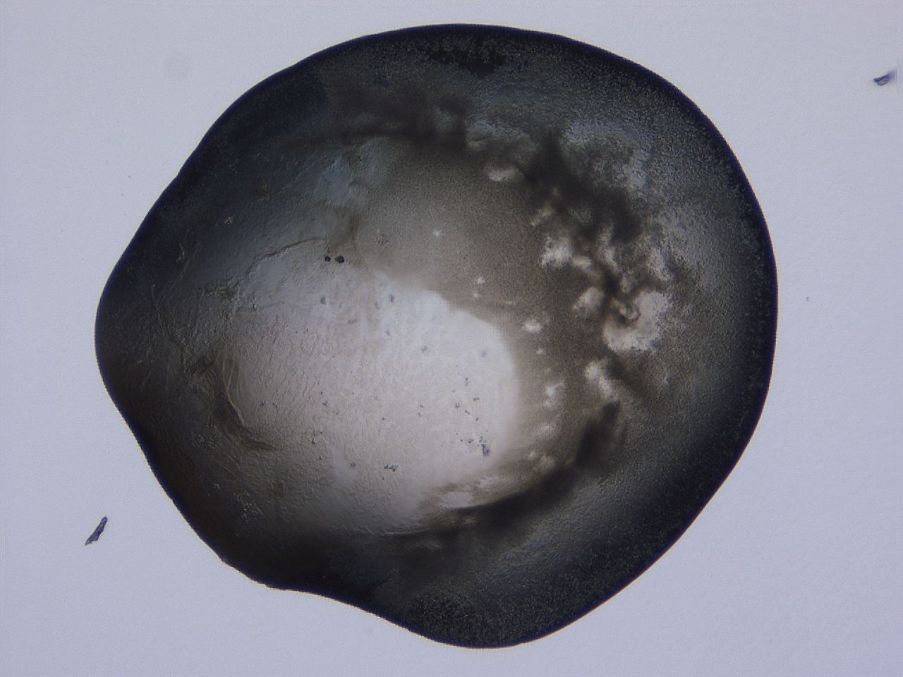 04ov_B10_ImagerDefaults_3.jpg