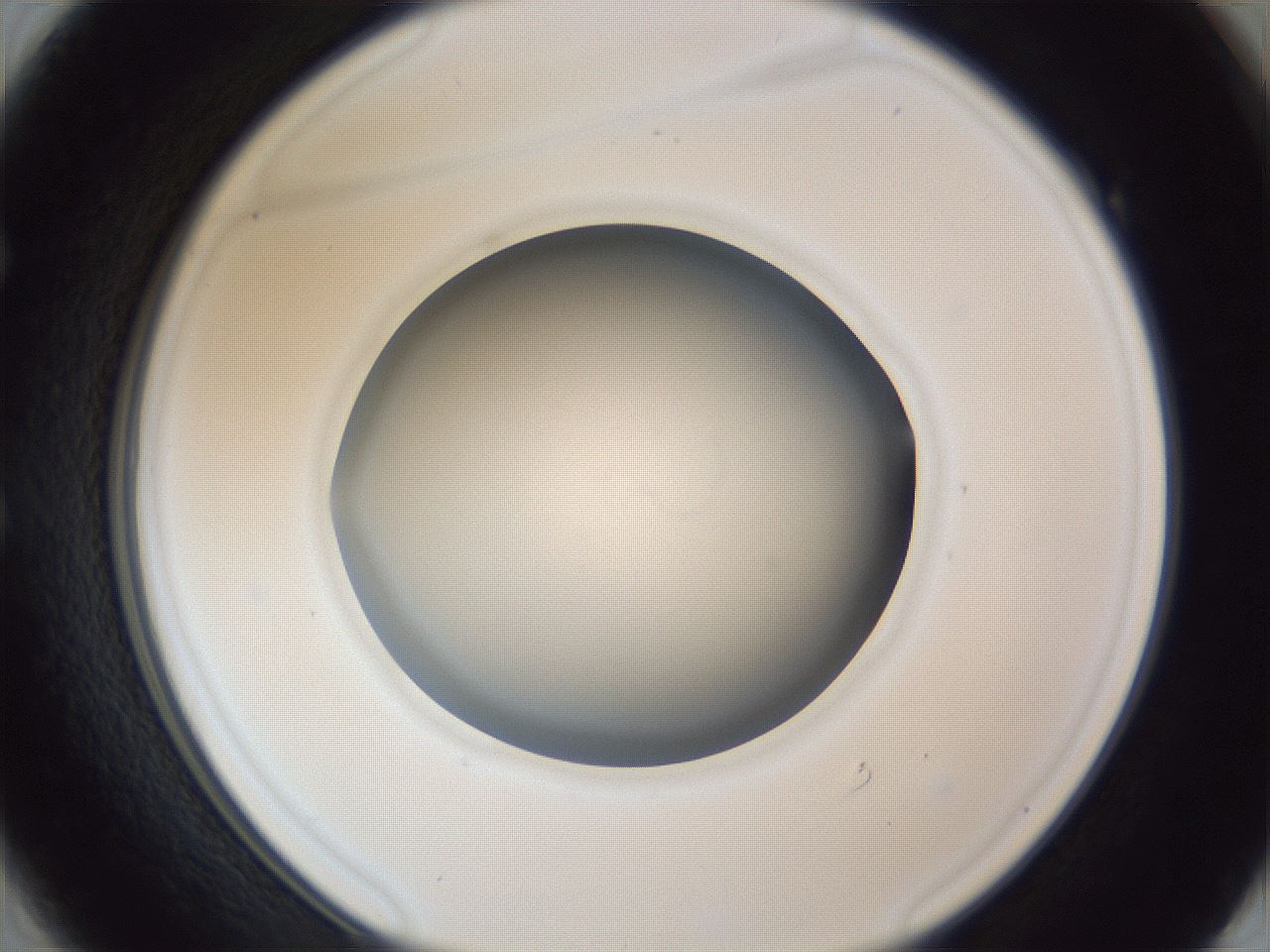 folderID965_plateID965_batchID1380_wellNum49_profileID1_d1_r37614_ef.jpg