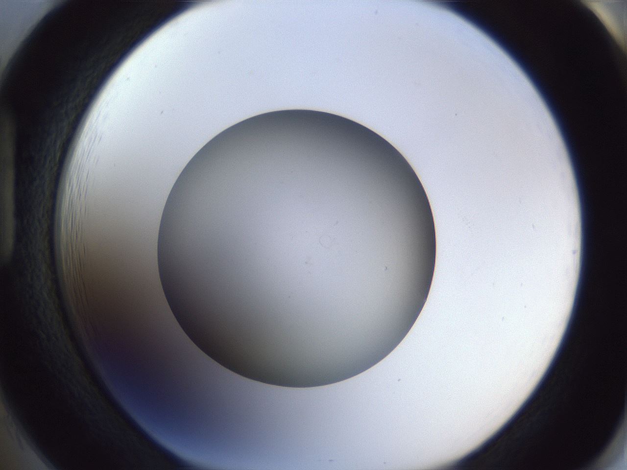 folderID965_plateID965_batchID1380_wellNum85_profileID1_d1_r37650_ef.jpg