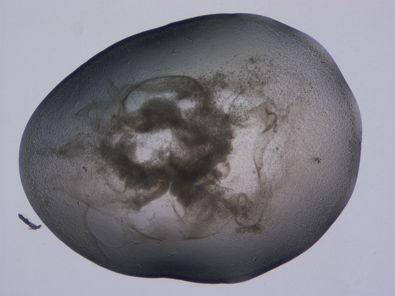 04ov_B11_ImagerDefaults_3.jpg