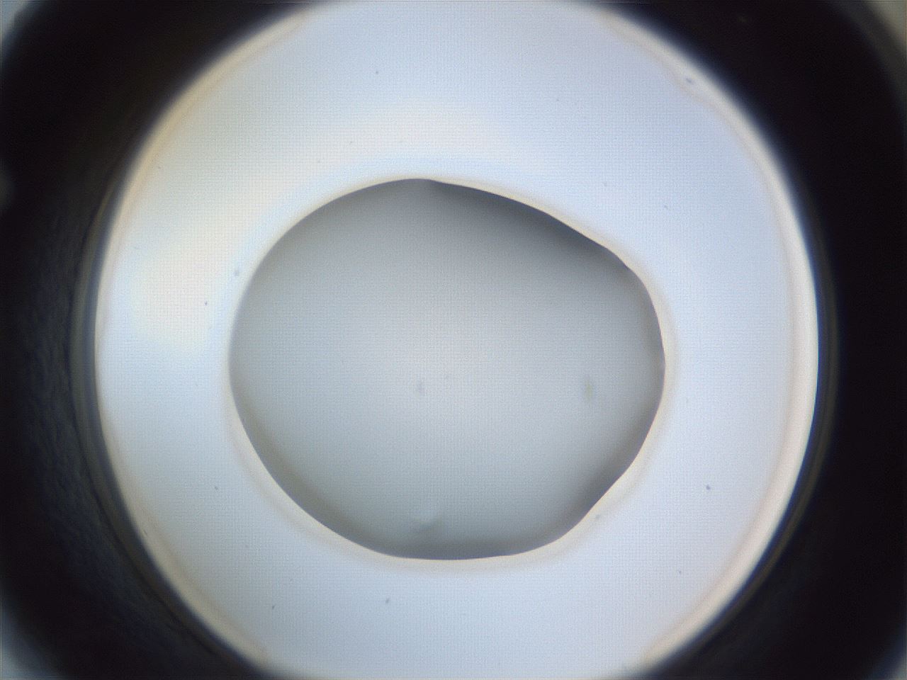 folderID965_plateID965_batchID1487_wellNum64_profileID1_d1_r37629_ef.jpg
