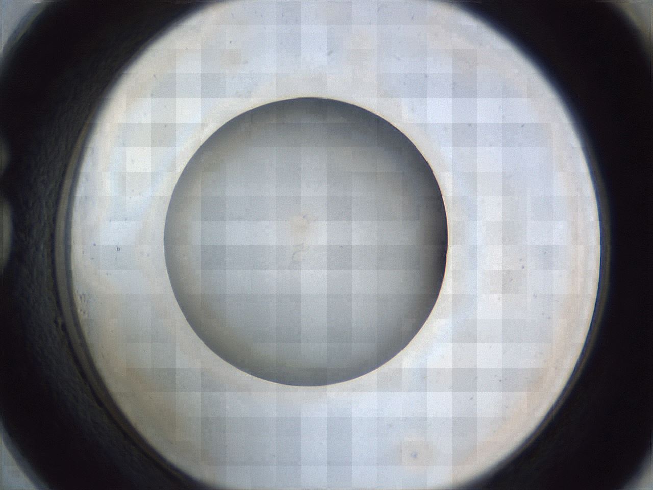 folderID965_plateID965_batchID1487_wellNum73_profileID1_d1_r37638_ef.jpg