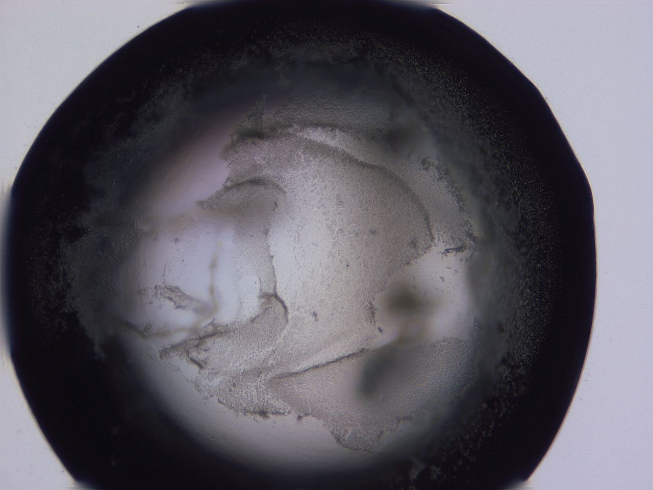 04ov_C12_ImagerDefaults_3.jpg