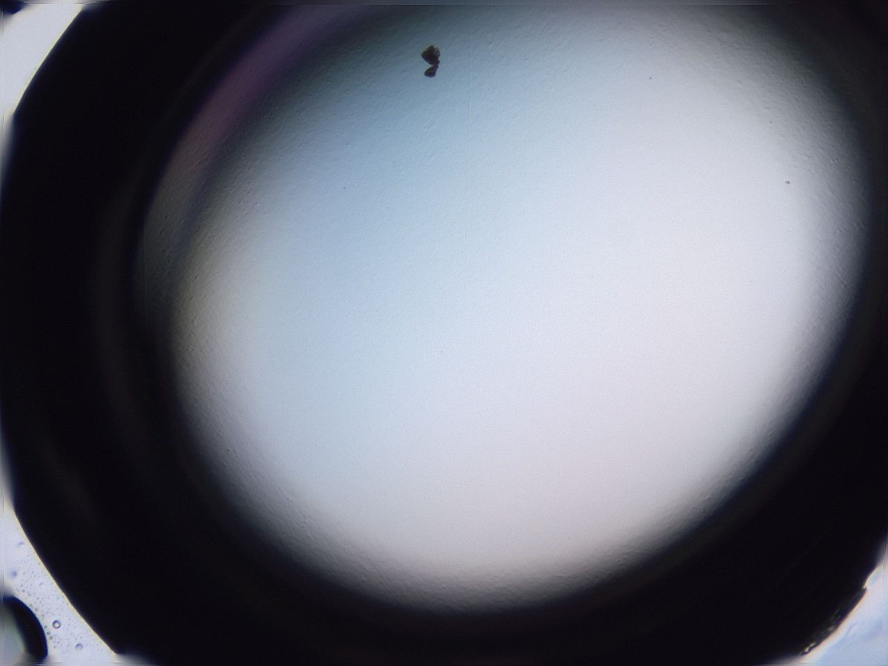 04ov_D1_ImagerDefaults_0.jpg