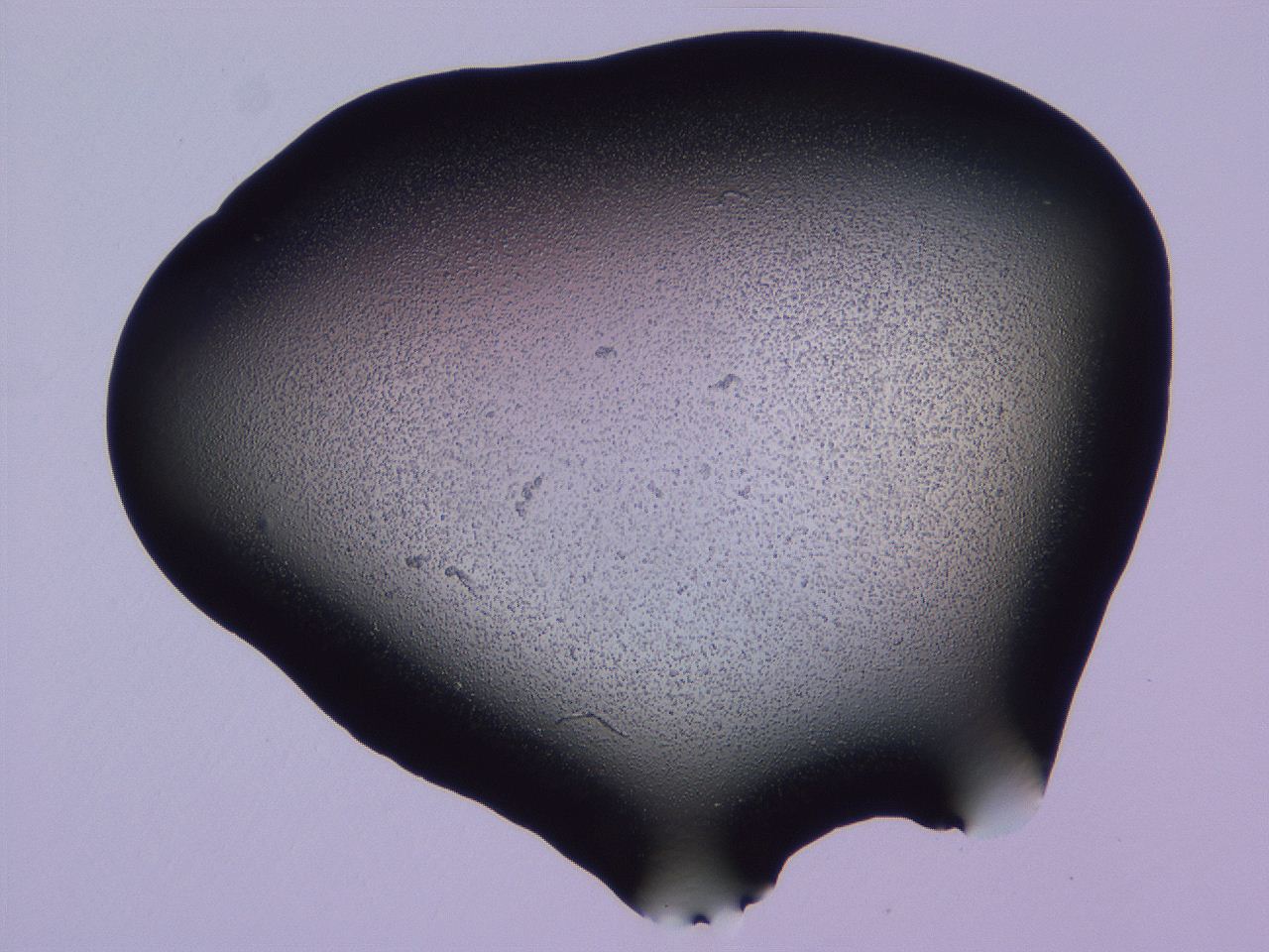 04ov_E6_ImagerDefaults_3.jpg