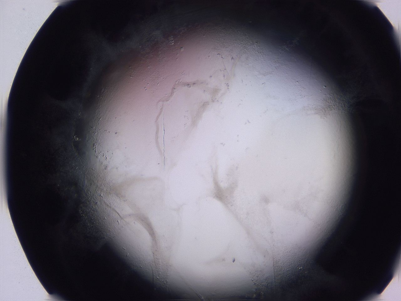 04ov_E7_ImagerDefaults_3.jpg