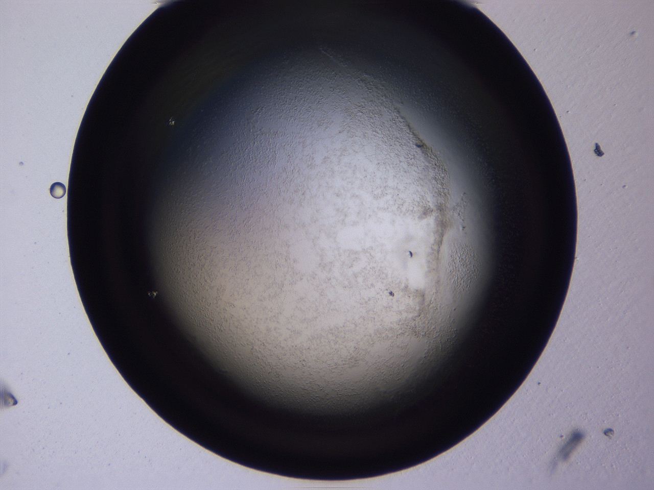 04ov_A1_ImagerDefaults_3.jpg