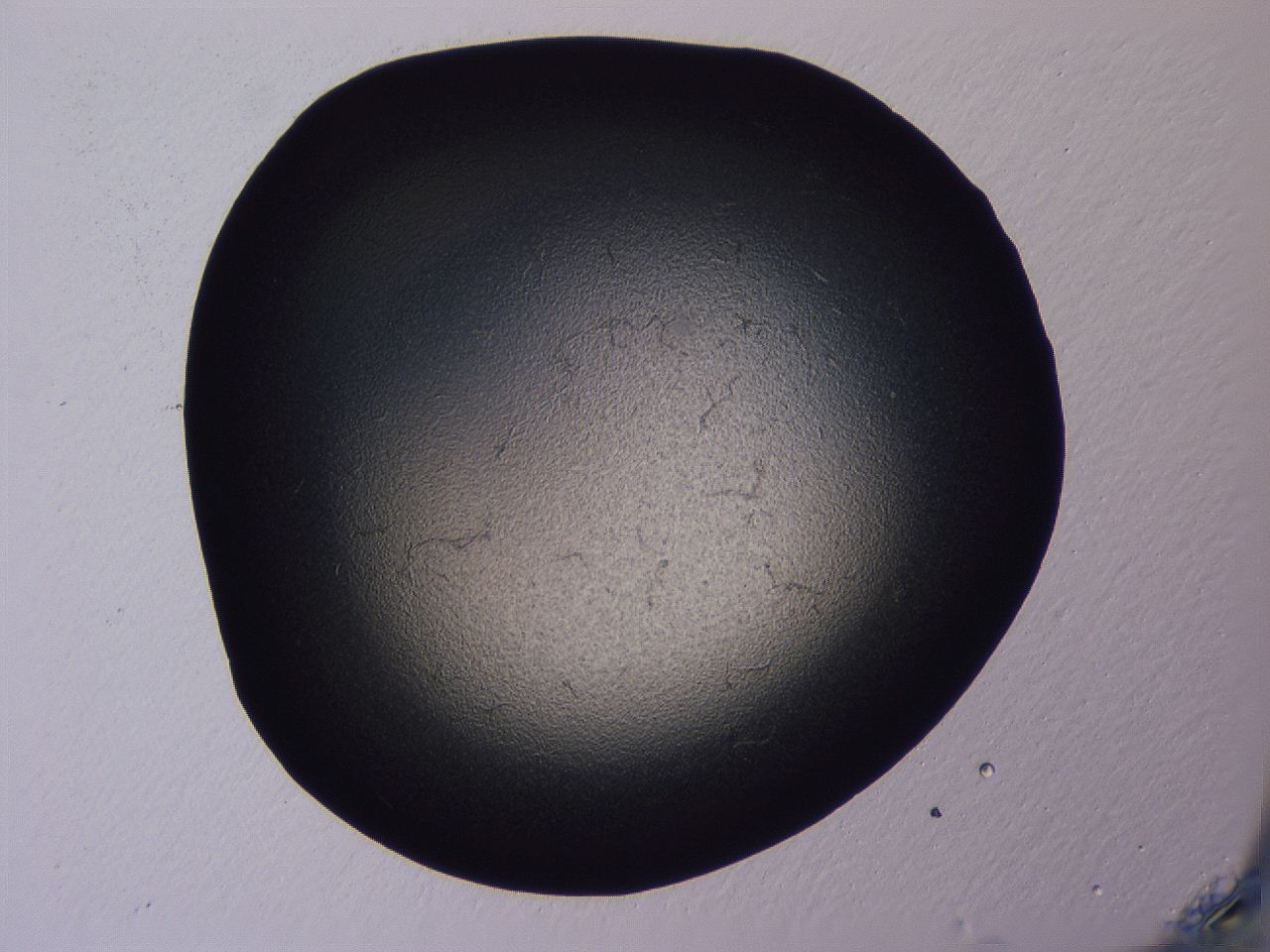 04ov_A5_ImagerDefaults_3.jpg