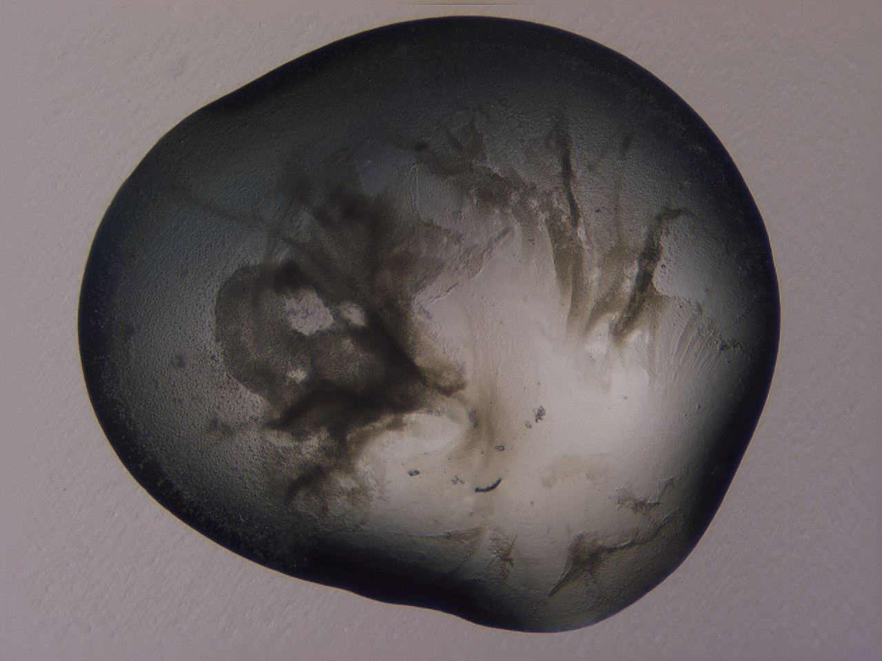 04ov_A6_ImagerDefaults_3.jpg