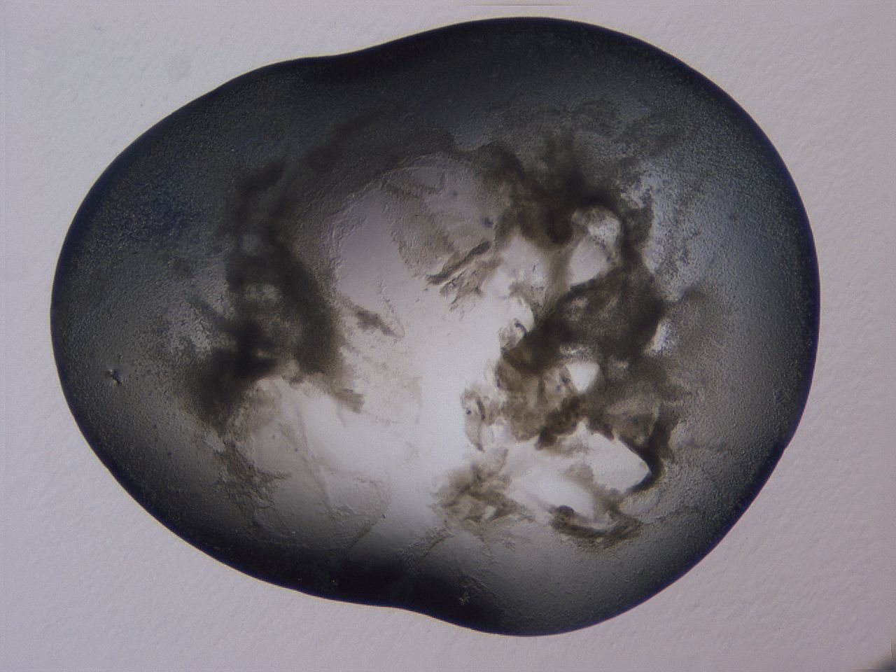 04ov_A9_ImagerDefaults_3.jpg