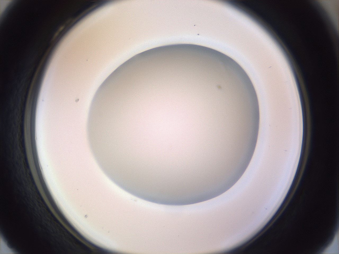 folderID971_plateID1971_batchID8610_wellNum28_profileID1_d1_r133004_ef.jpg