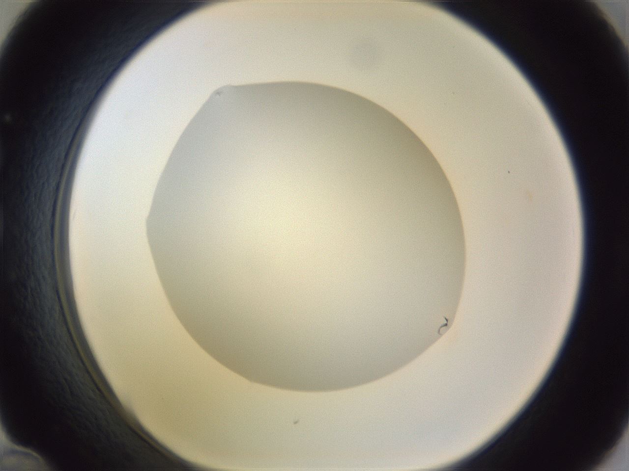 folderID971_plateID1971_batchID8610_wellNum36_profileID1_d1_r133020_ef.jpg