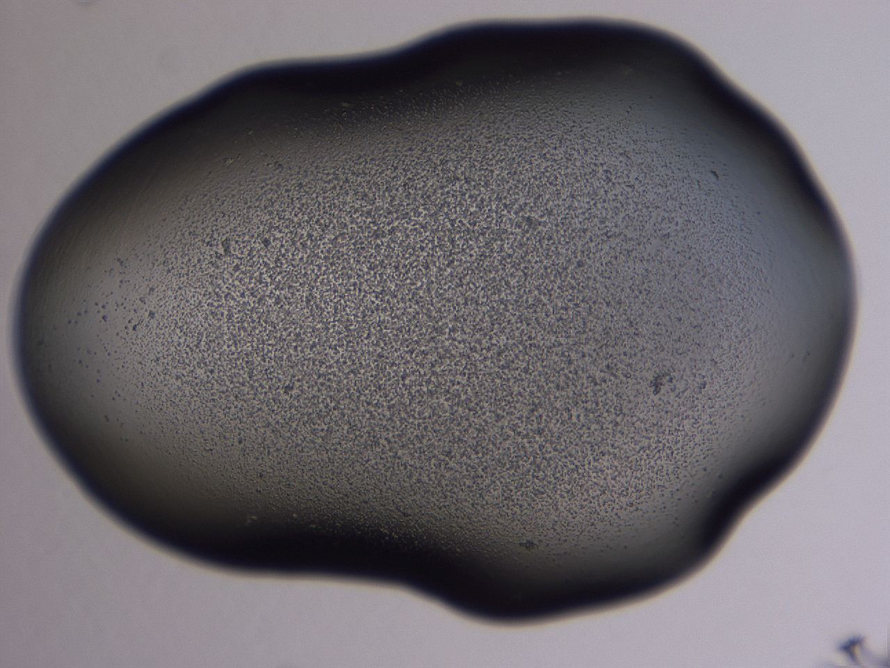 04ov_A11_ImagerDefaults_3.jpg