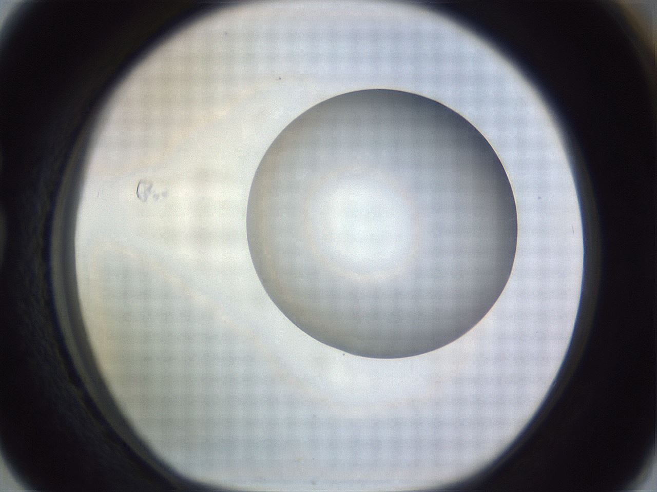 folderID971_plateID1971_batchID8610_wellNum76_profileID1_d1_r133100_ef.jpg