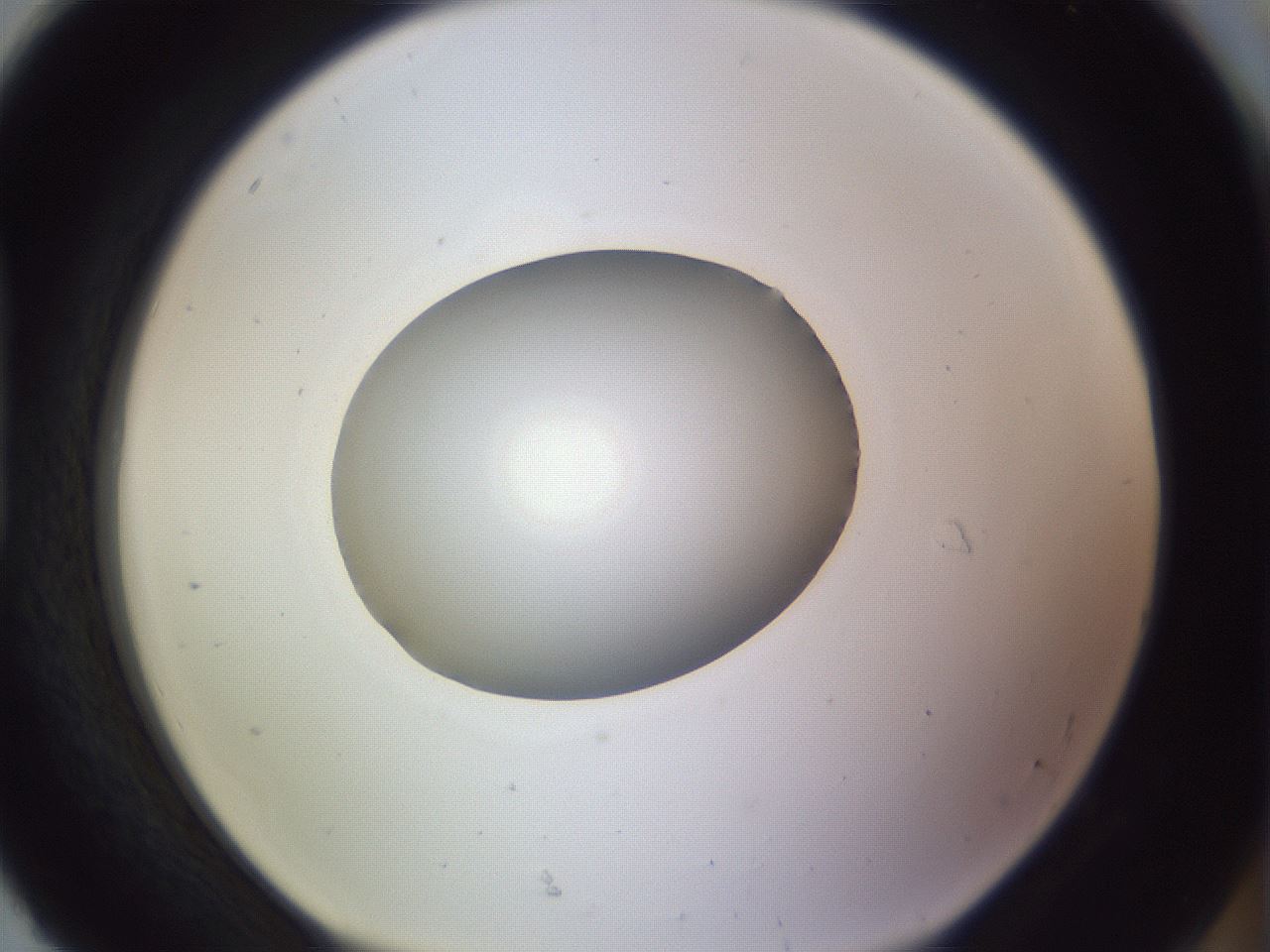 folderID972_plateID1972_batchID8604_wellNum92_profileID1_d1_r131980_ef.jpg