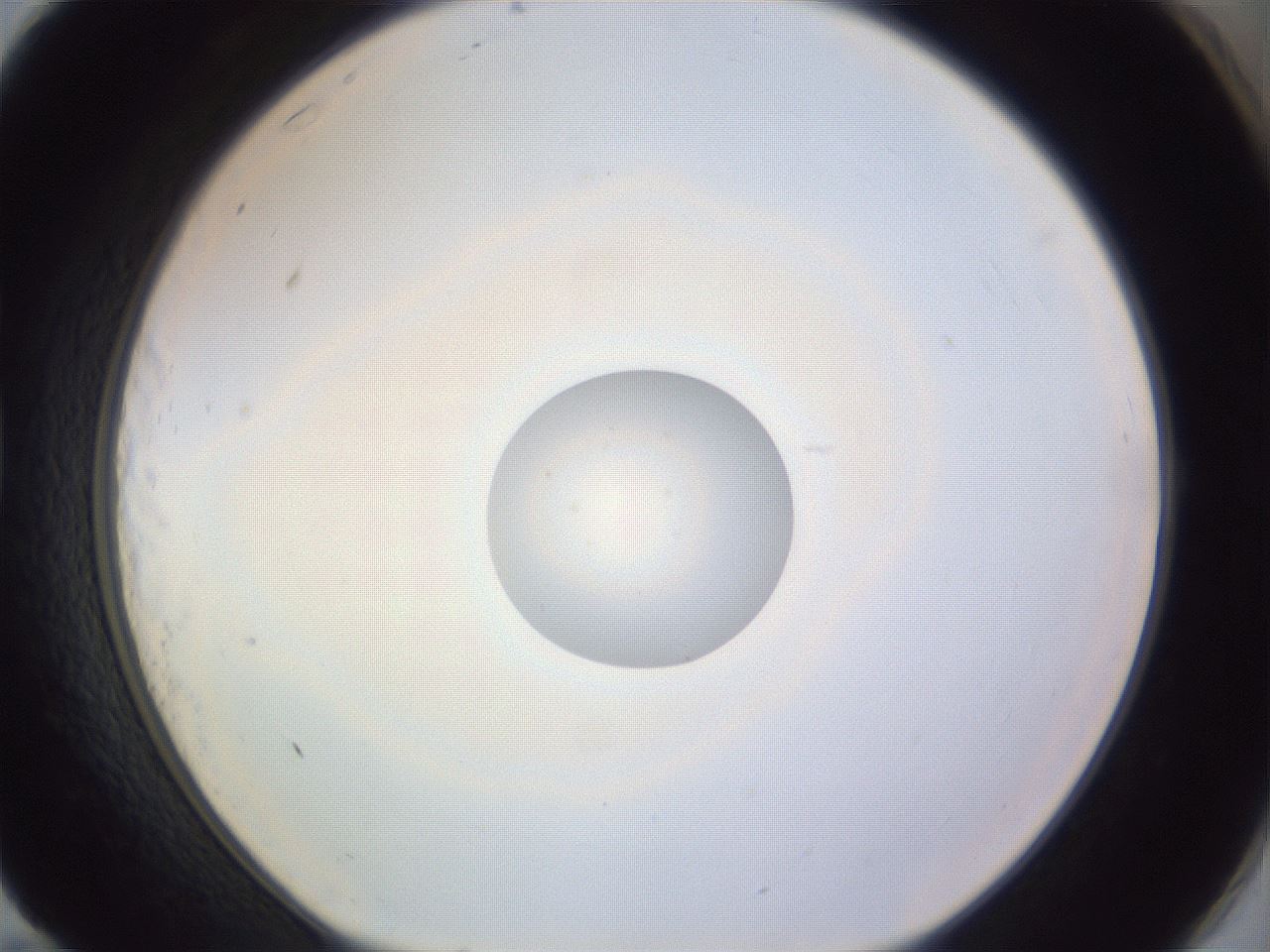 folderID973_plateID1973_batchID8599_wellNum83_profileID1_d1_r130810_ef.jpg