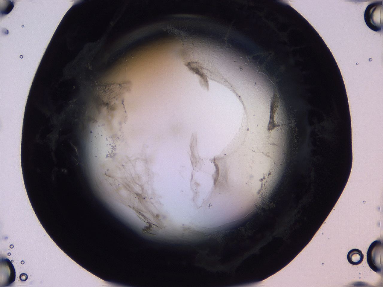 04ov_D6_ImagerDefaults_3.jpg