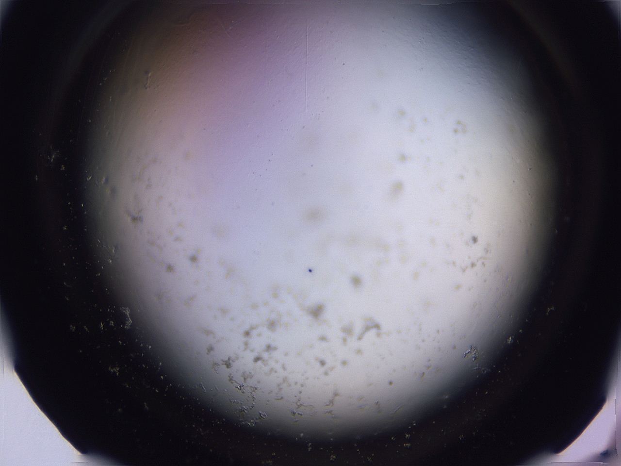 04ov_D8_ImagerDefaults_3.jpg