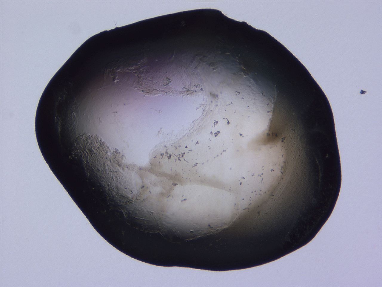 04ov_D9_ImagerDefaults_3.jpg