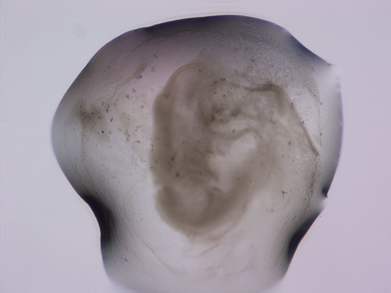 04ov_D11_ImagerDefaults_3.jpg
