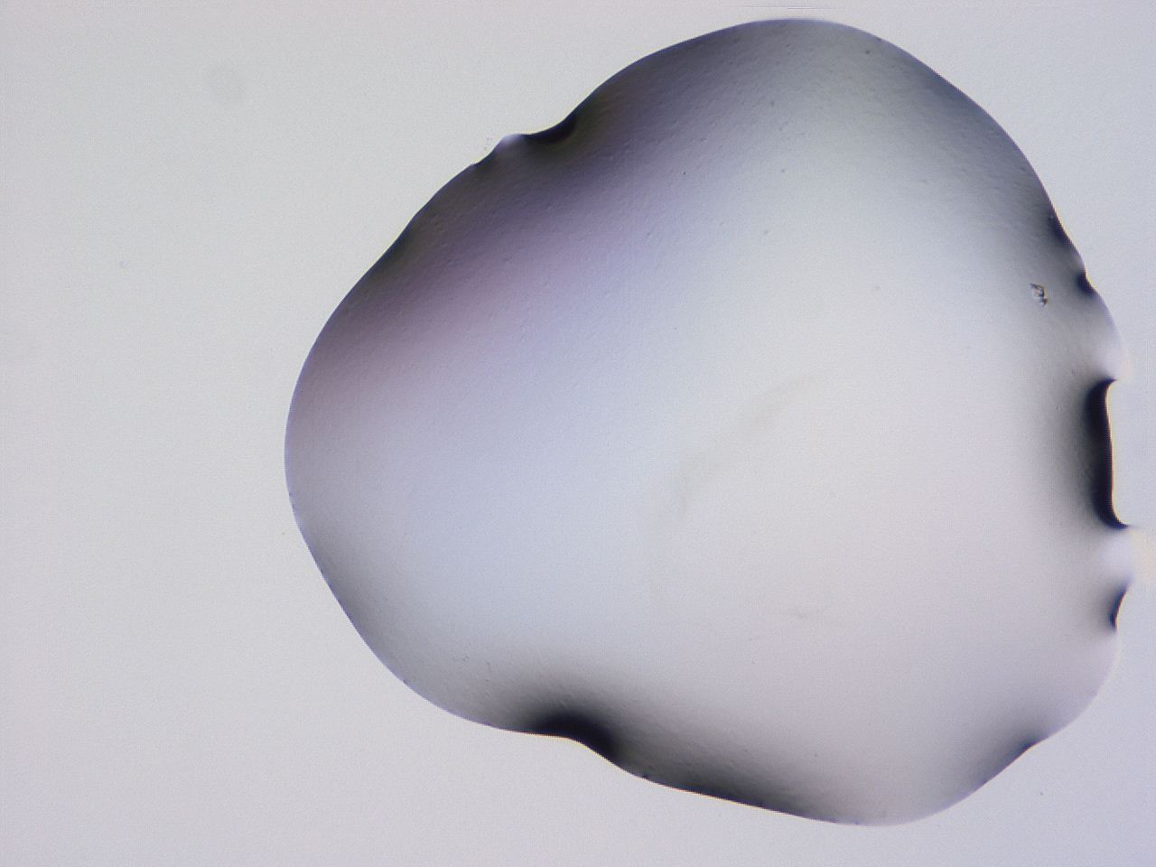 04ov_D12_ImagerDefaults_0.jpg