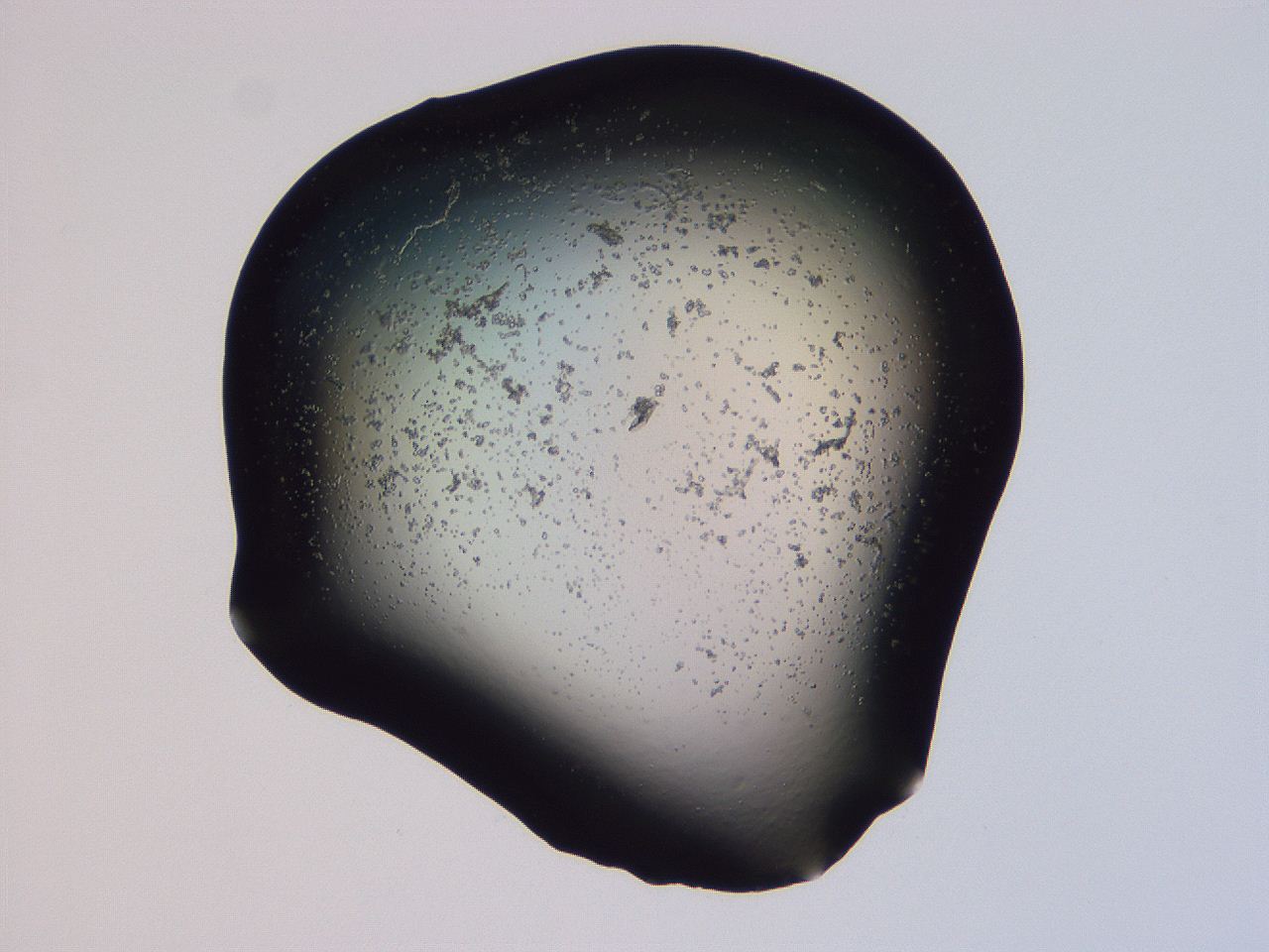 04ov_F4_ImagerDefaults_3.jpg