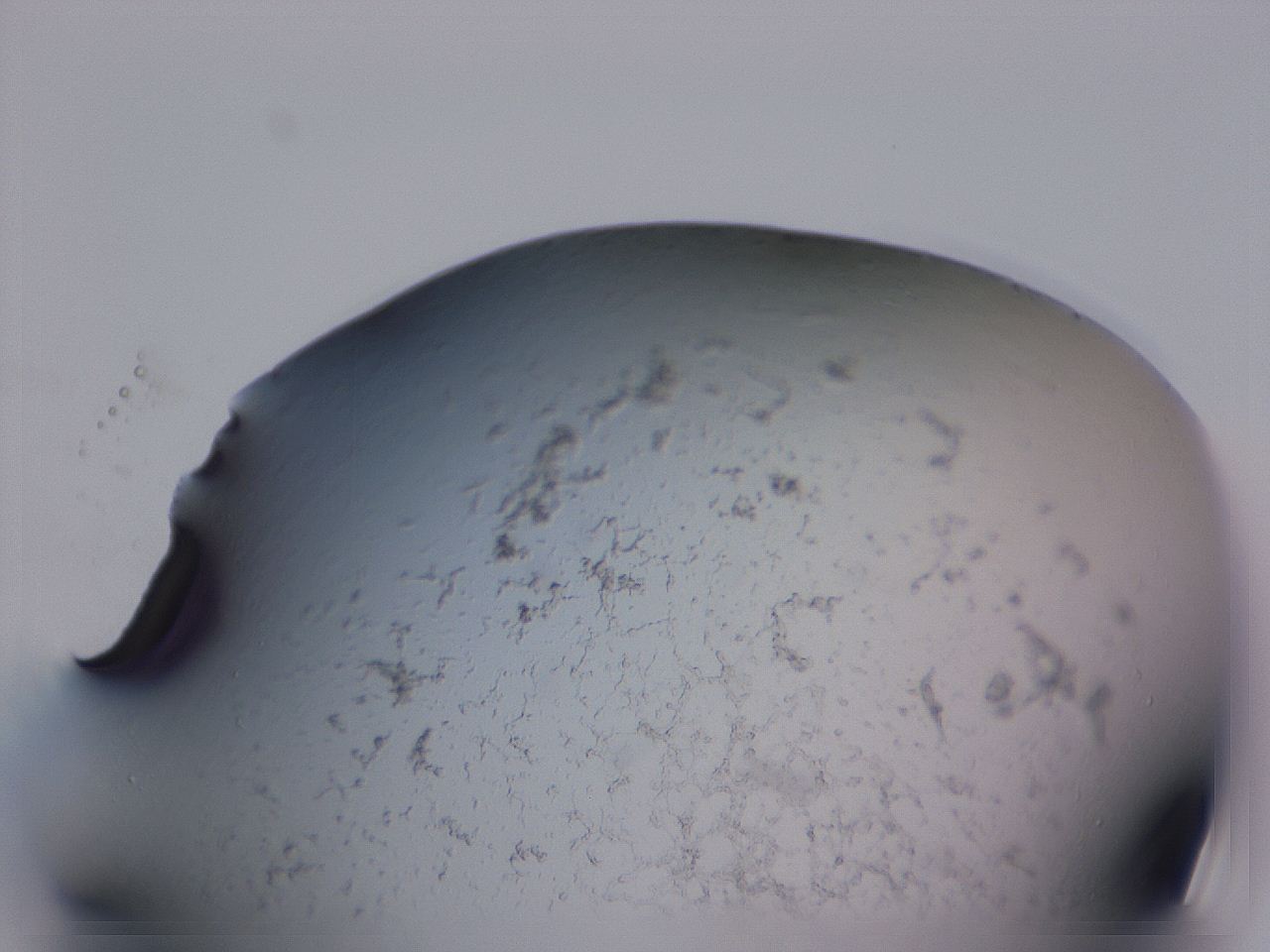 04ov_F8_ImagerDefaults_3.jpg