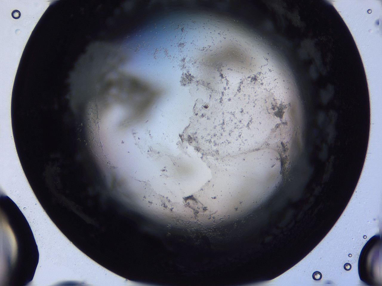 04ov_F10_ImagerDefaults_3.jpg