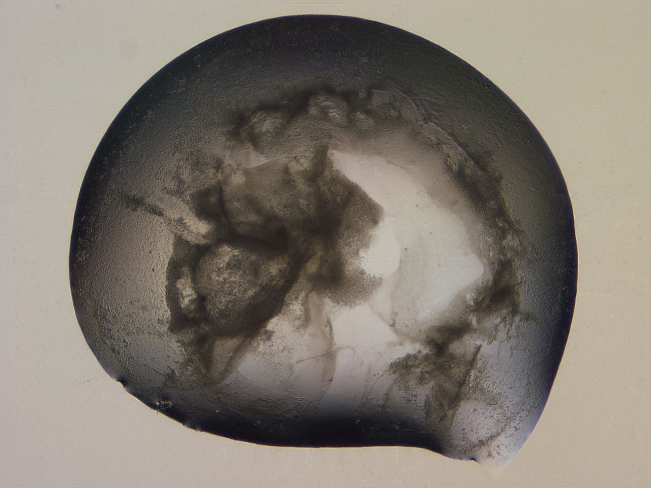 04ov_G2_ImagerDefaults_3.jpg