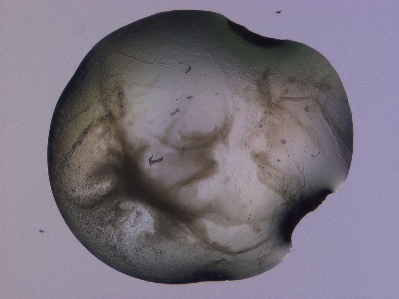 04ov_G3_ImagerDefaults_3.jpg