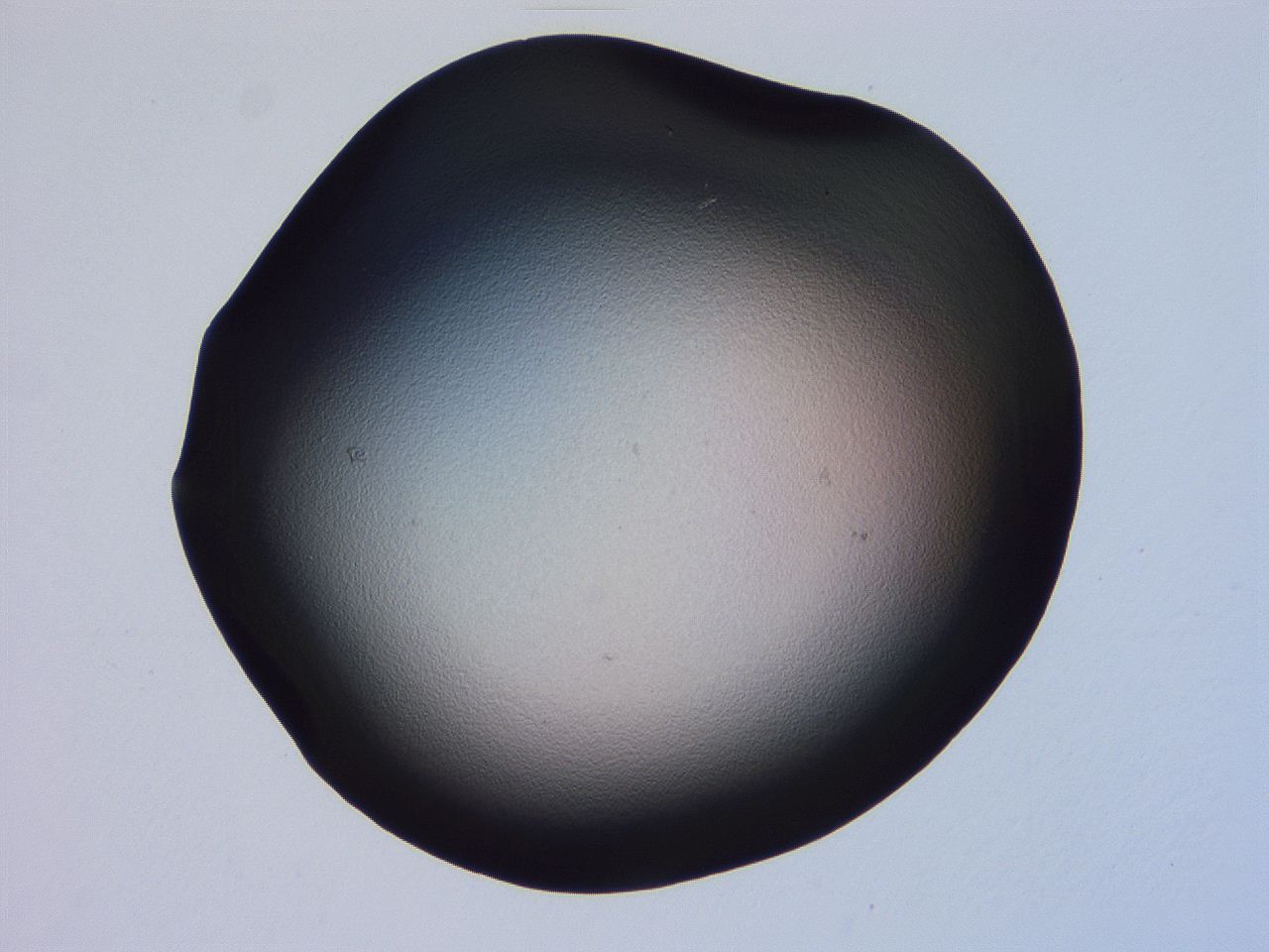04ov_G5_ImagerDefaults_0.jpg