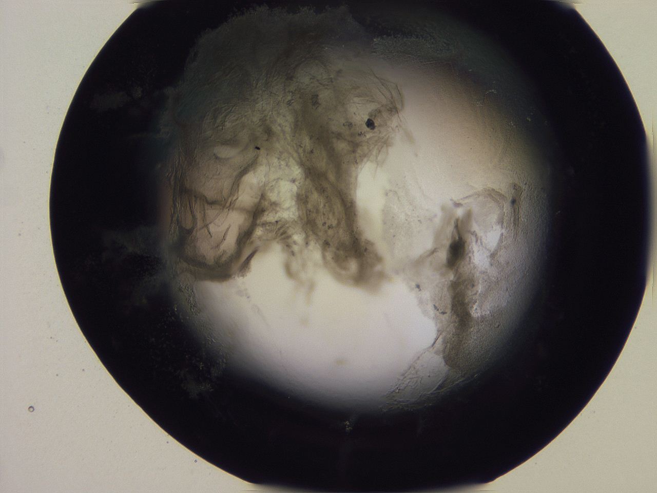 04ov_G6_ImagerDefaults_3.jpg