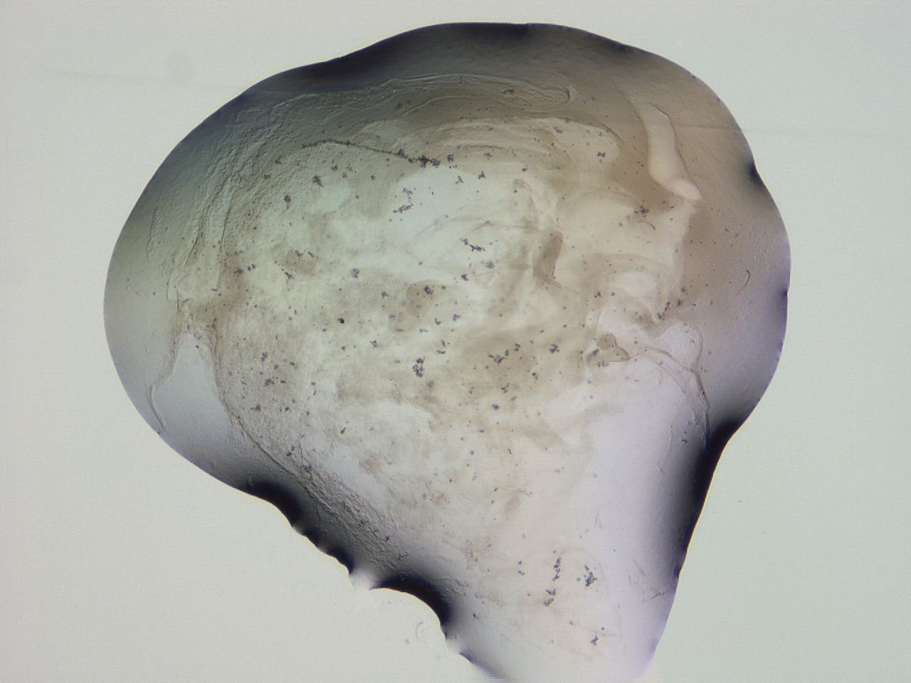 04ov_G10_ImagerDefaults_3.jpg
