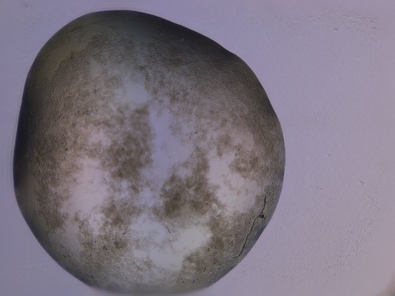 04ov_G11_ImagerDefaults_3.jpg