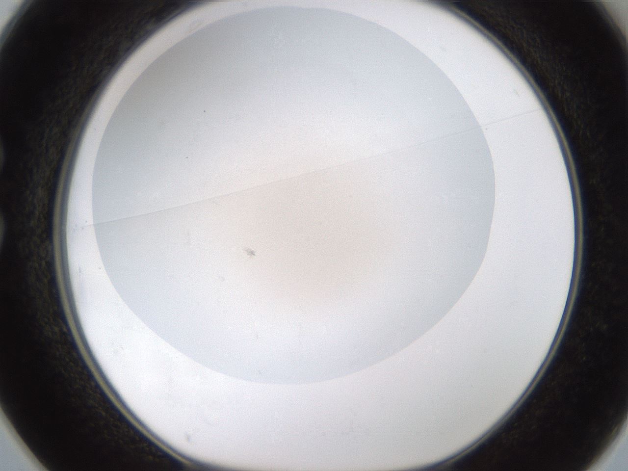 folderID978_plateID2978_batchID16168_wellNum25_profileID1_d1_r246279_ef.jpg