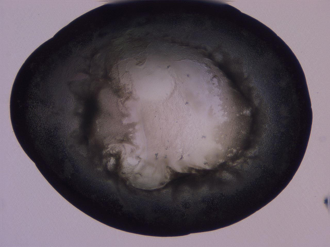 04ov_H2_ImagerDefaults_3.jpg
