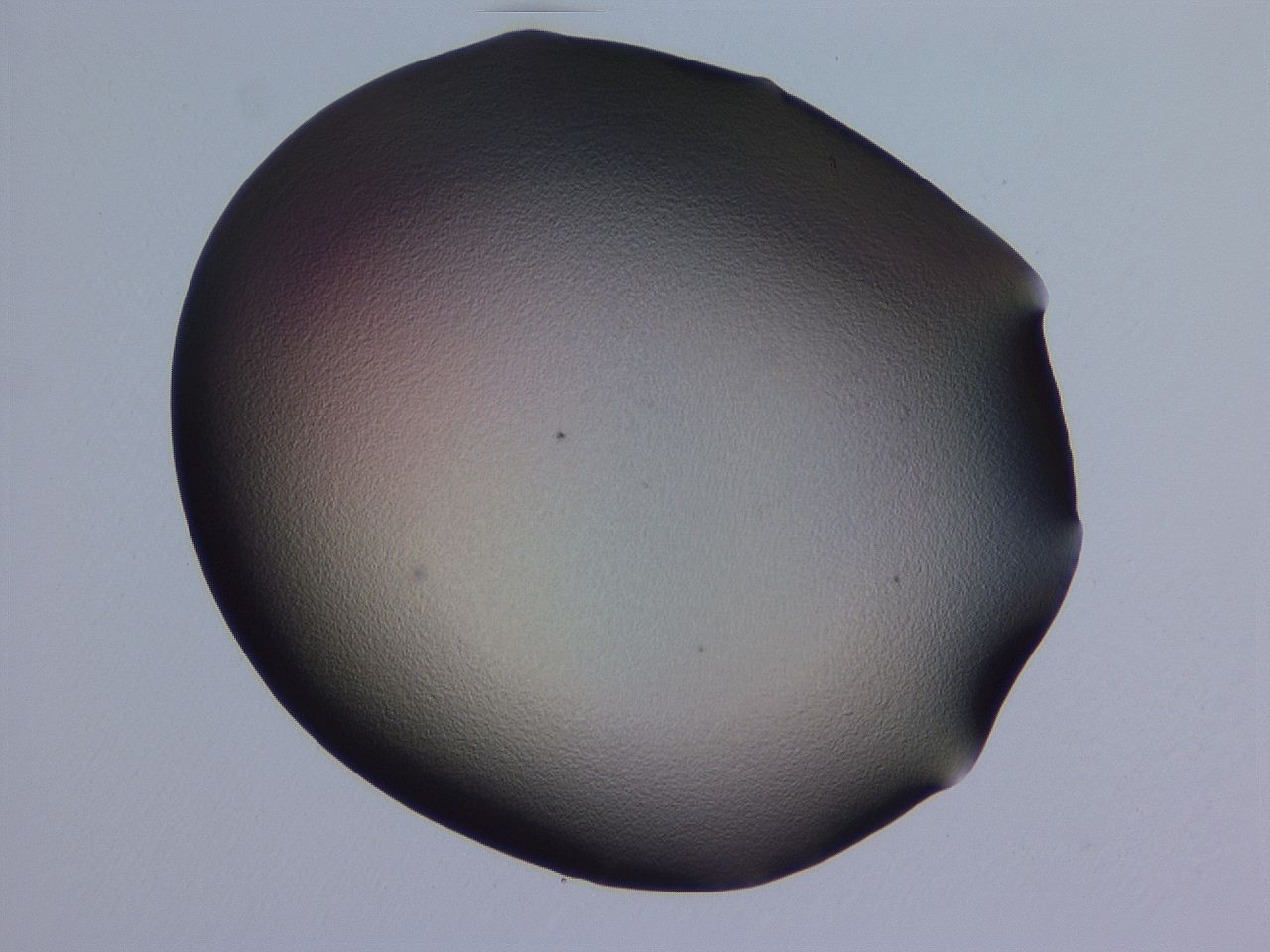 04ov_H3_ImagerDefaults_0.jpg