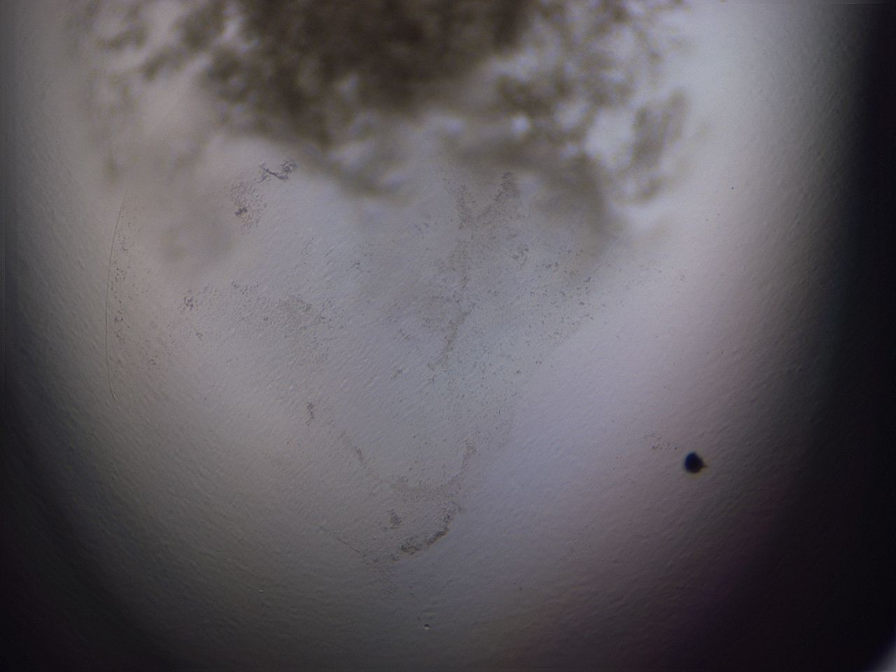 04ov_H4_ImagerDefaults_3.jpg
