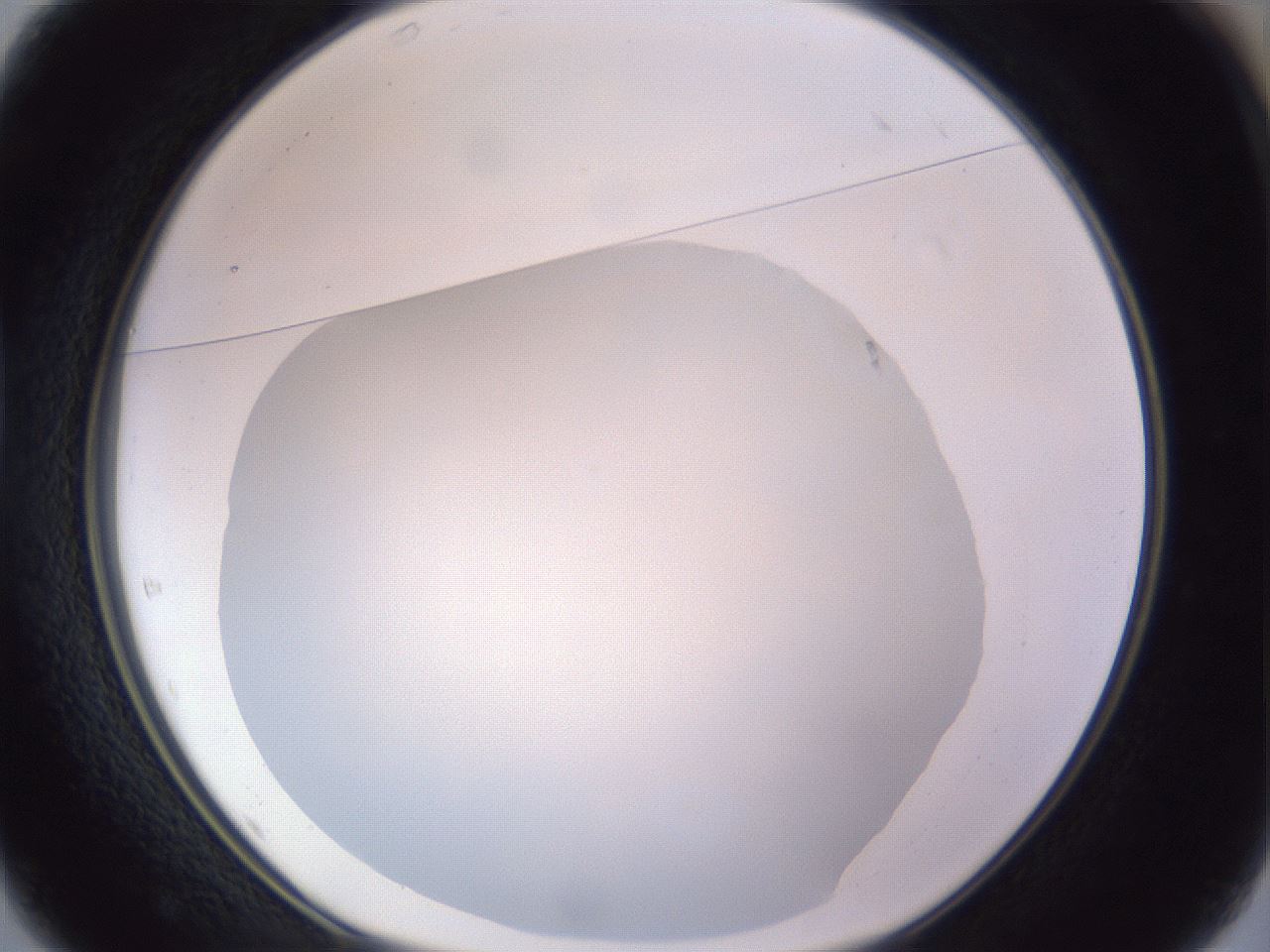 folderID979_plateID1979_batchID8606_wellNum37_profileID1_d1_r132254_ef.jpg