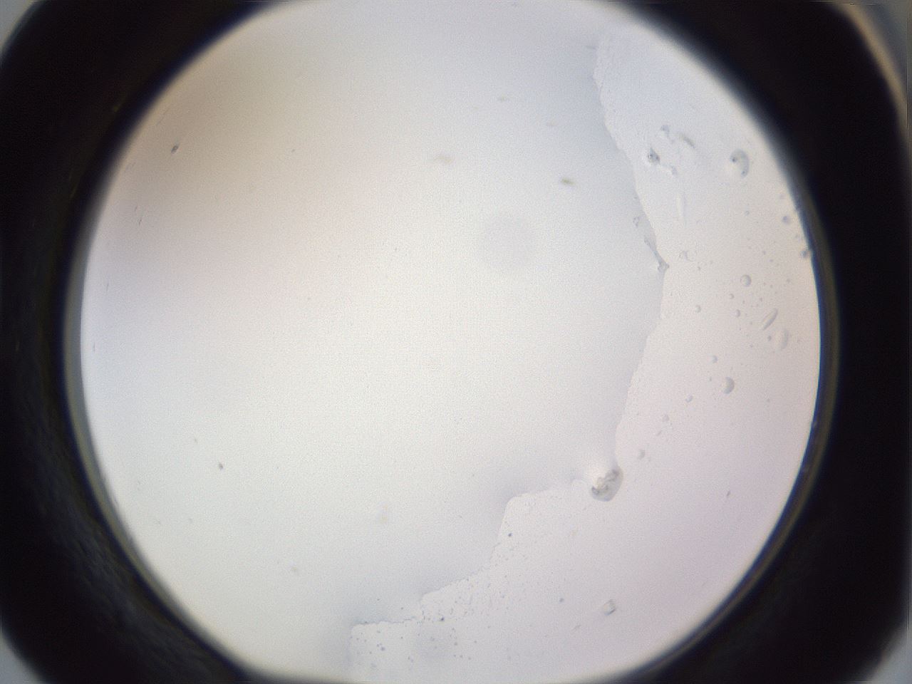 folderID979_plateID1979_batchID8606_wellNum40_profileID1_d1_r132260_ef.jpg