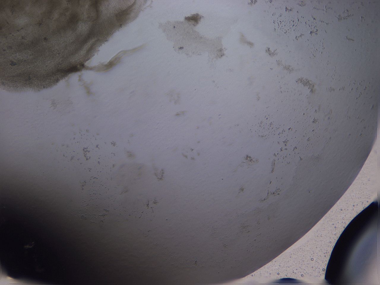 04ov_H8_ImagerDefaults_3.jpg