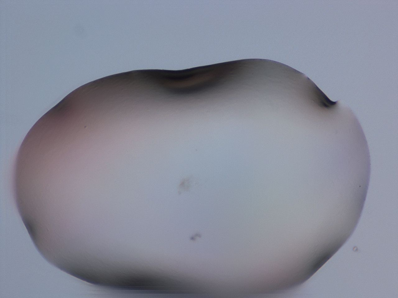 04ov_H11_ImagerDefaults_0.jpg
