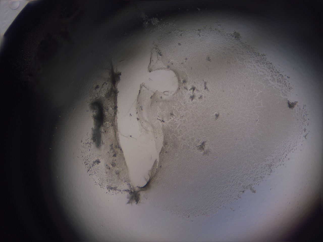 04ov_H12_ImagerDefaults_3.jpg