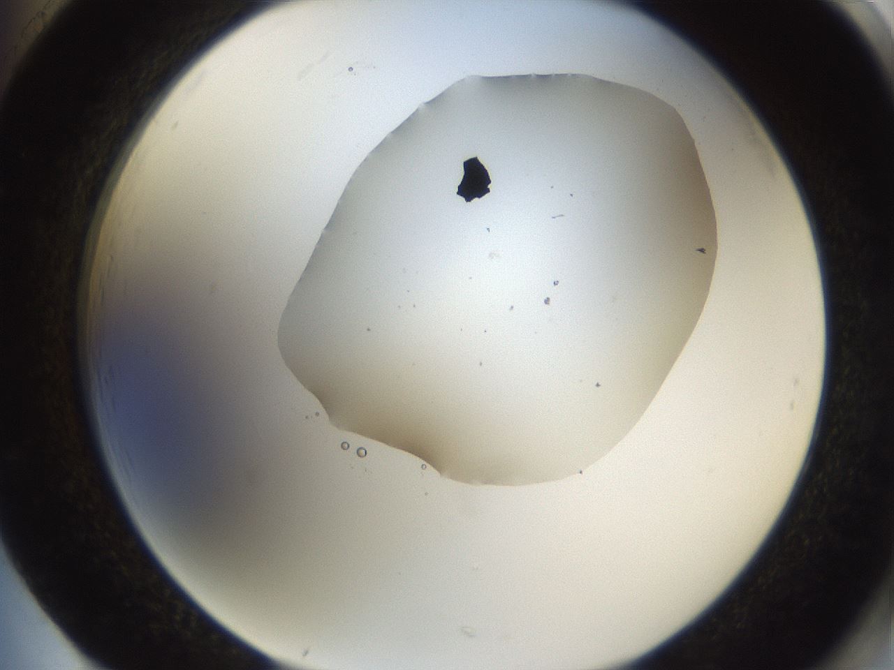 folderID980_plateID2980_batchID16170_wellNum85_profileID1_d2_r246784_ef.jpg