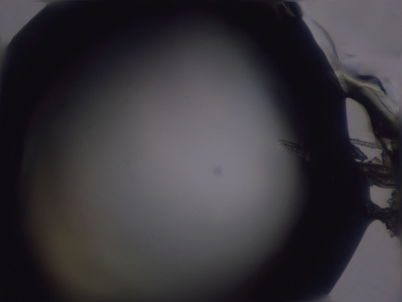 04ow_A4_ImagerDefaults_0.jpg