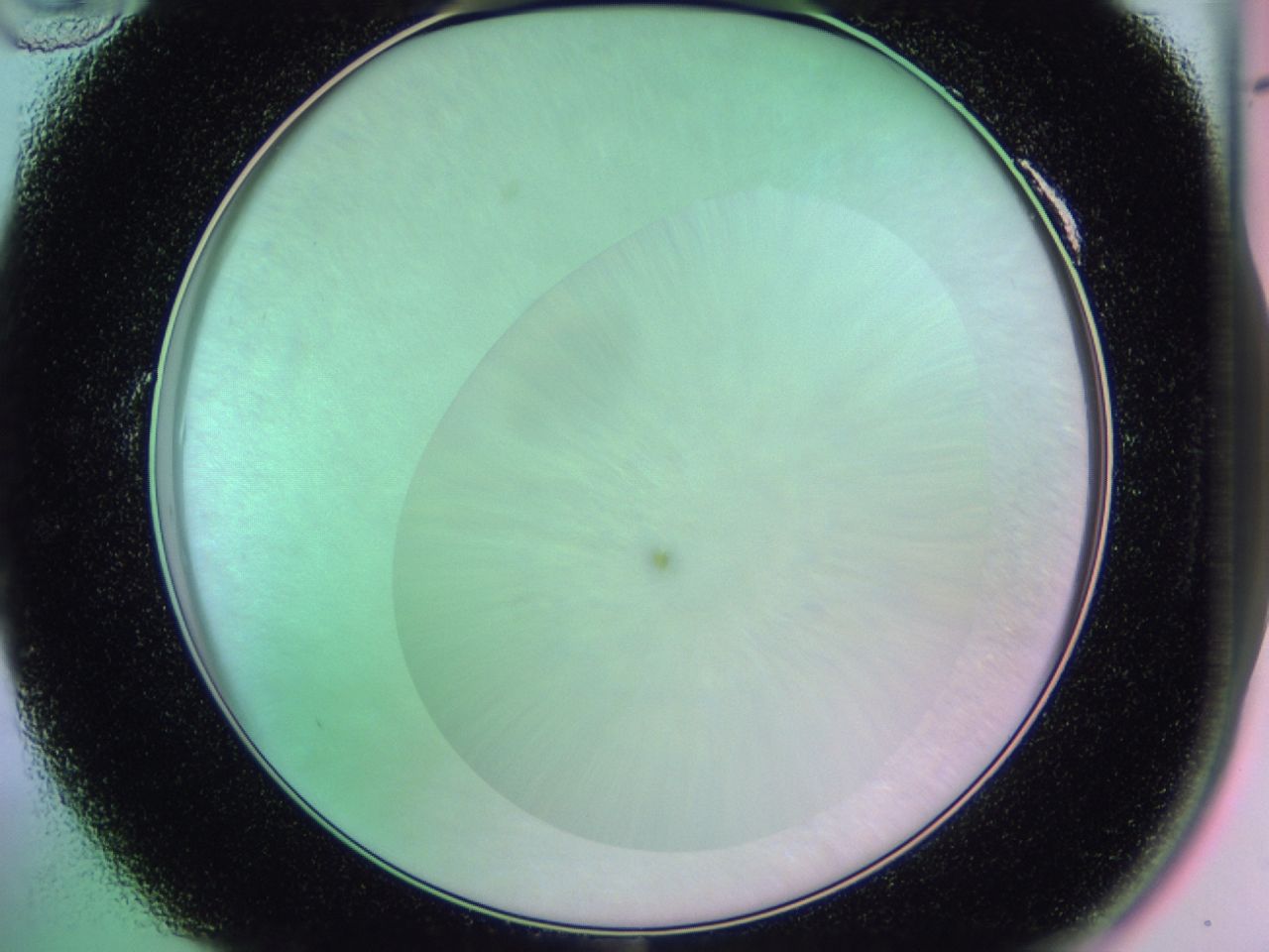 01dc_A10_ImagerDefaults_1.jpg